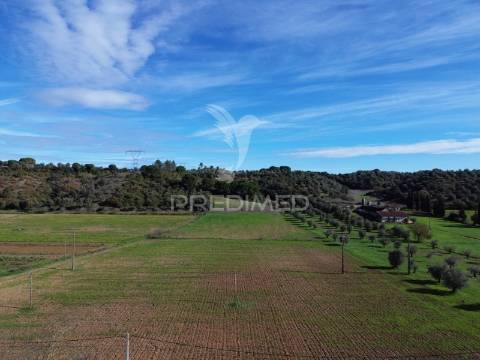 Terreno rústico em pernes – santarém | 2.744 m²