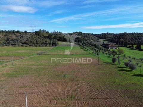 Terreno rústico em pernes – santarém | 2.744 m²