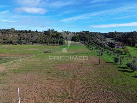 Terreno rústico em pernes – santarém | 2.744 m²