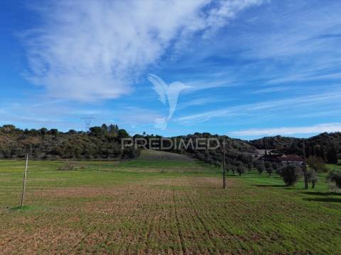 Terreno rústico em pernes – santarém | 2.744 m²