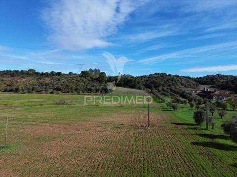 Terreno rústico em pernes – santarém | 27 440,00 m²