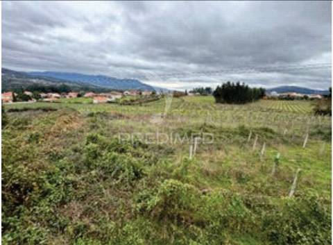 Quinta em monção com moradias independentes, vinha de alvarinho e adega - brbeita