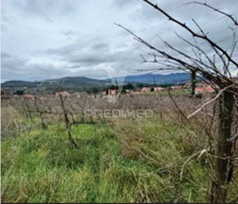 Quinta em monção com moradias independentes, vinha de alvarinho e adega - brbeita