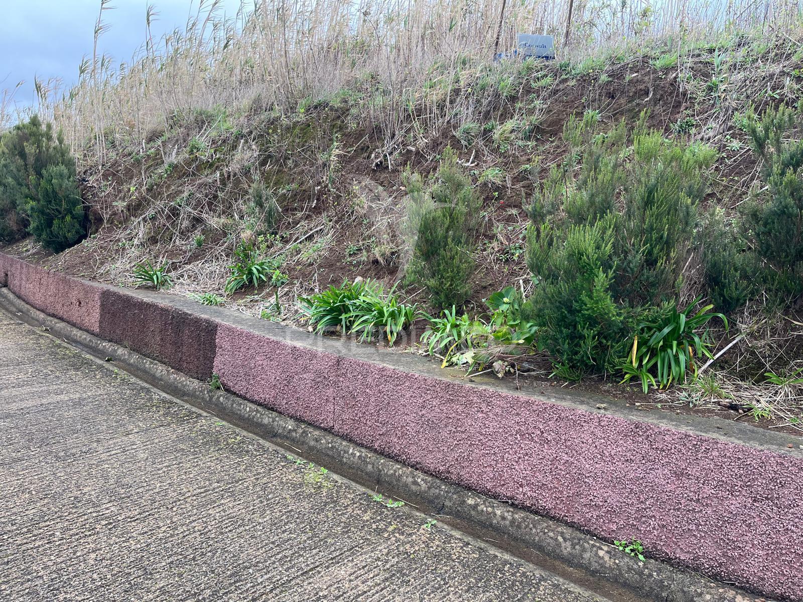 Terreno plano na ponta do pargo com vista mar