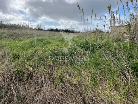 Terreno plano na ponta do pargo com vista mar