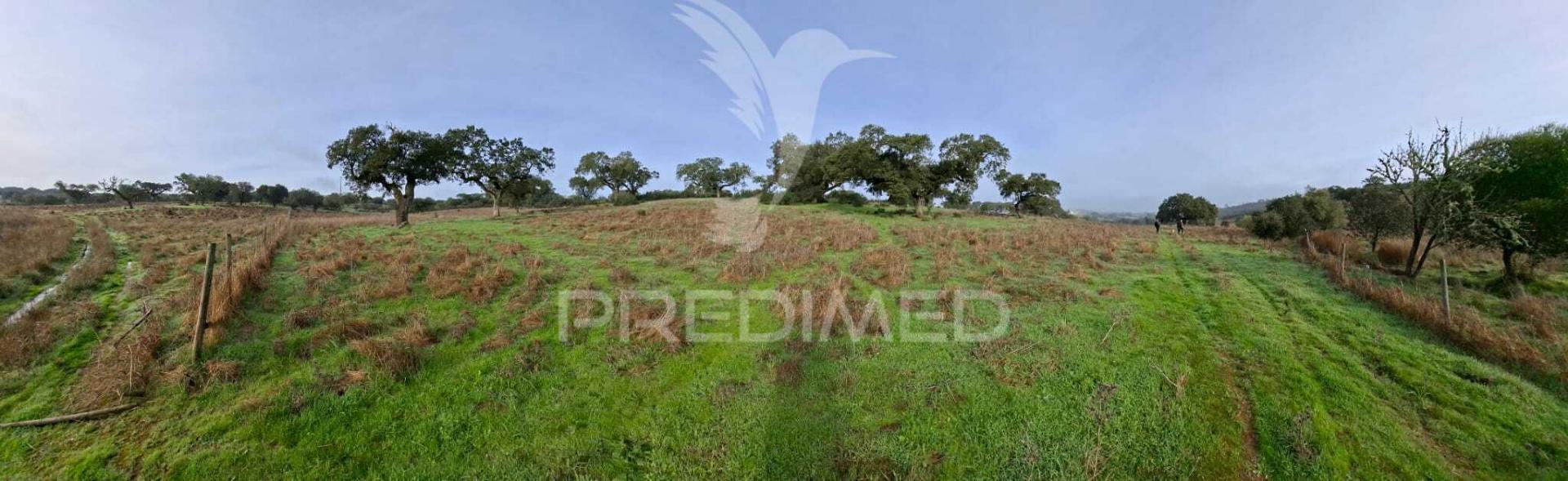 Terreno rústico com 4,1 hectares no rosário - alandroal