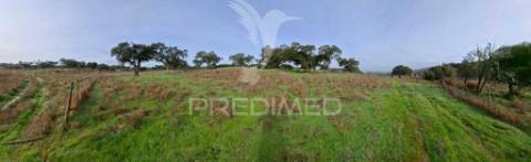 Terreno rústico com 4,1 hectares no rosário - alandroal