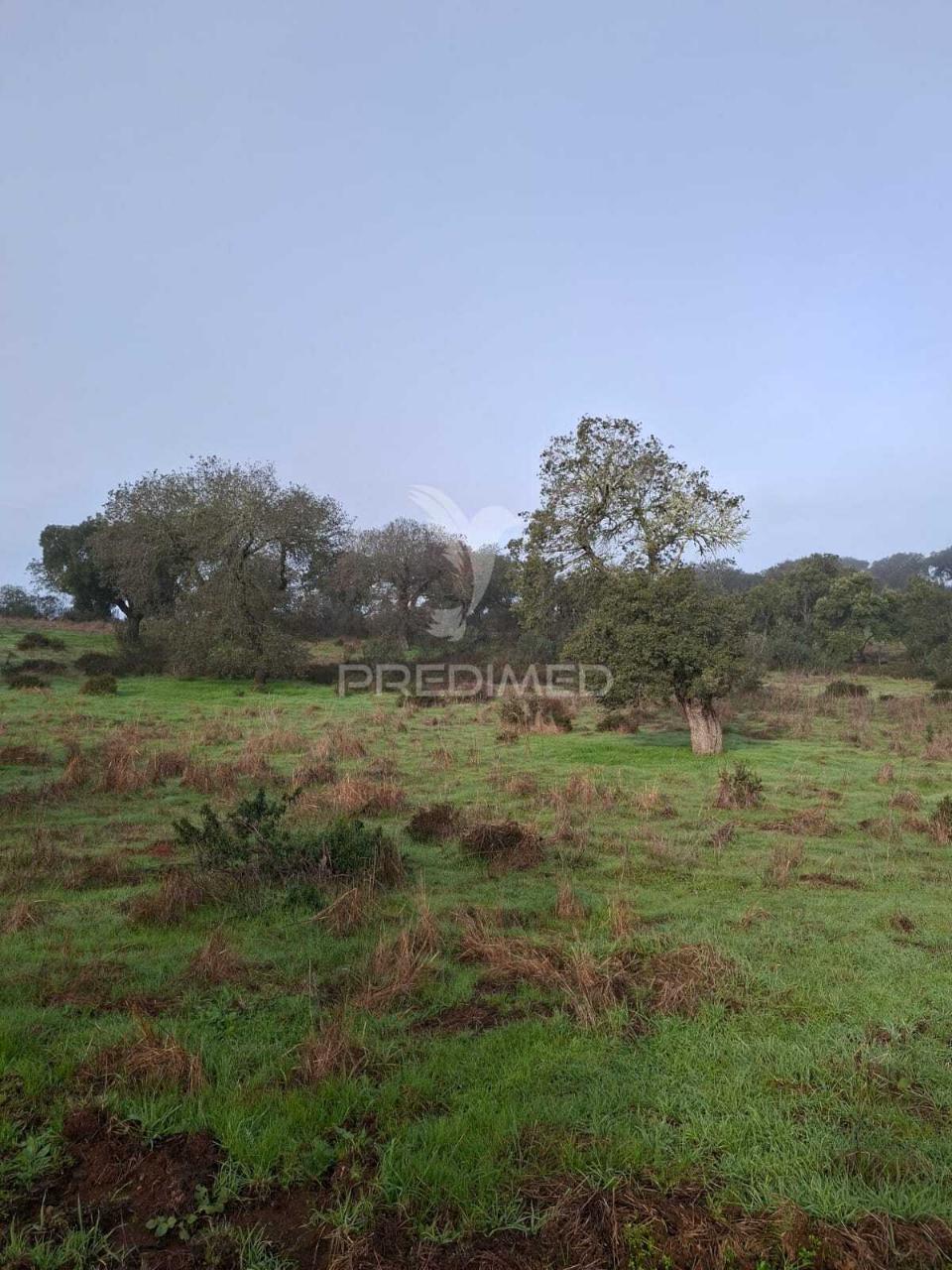 Terreno rústico com 4,1 hectares no rosário - alandroal