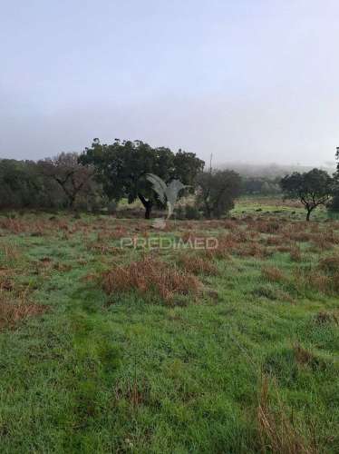 Terreno rústico com 4,1 hectares no rosário - alandroal