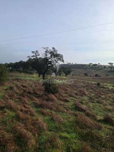 Terreno rústico com 4,1 hectares no rosário - alandroal