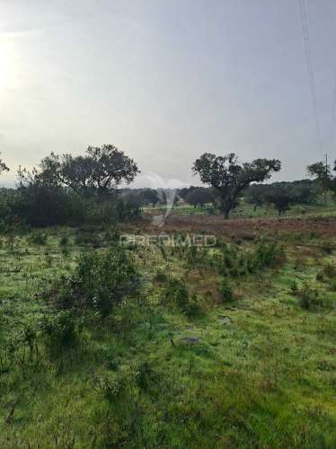 Terreno rústico com 4,1 hectares no rosário - alandroal