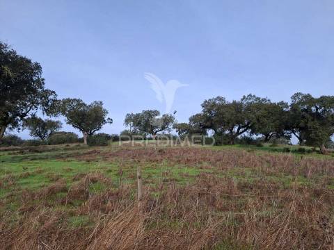 Terreno rústico com 4,1 hectares no rosário - alandroal
