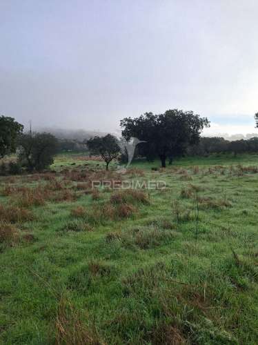 Terreno rústico com 4,1 hectares no rosário - alandroal