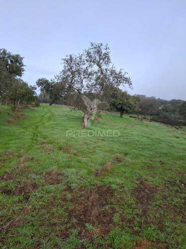 Terreno rústico com 4,1 hectares no rosário - alandroal