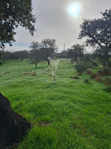 Terreno rústico com 4,1 hectares no rosário - alandroal