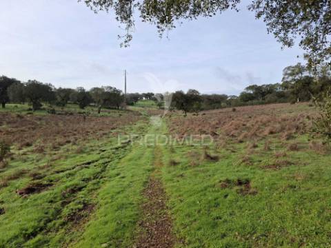 Terreno rústico com 4,1 hectares no rosário - alandroal