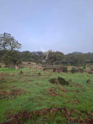 Terreno rústico com 4,1 hectares no rosário - alandroal