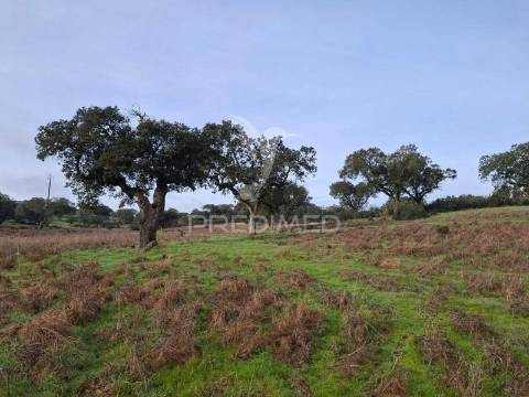 Terreno rústico com 4,1 hectares no rosário - alandroal