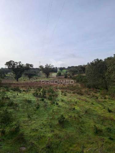 Terreno rústico com 4,1 hectares no rosário - alandroal