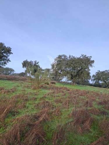 Terreno rústico com 4,1 hectares no rosário - alandroal