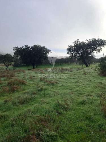 Terreno rústico com 4,1 hectares no rosário - alandroal