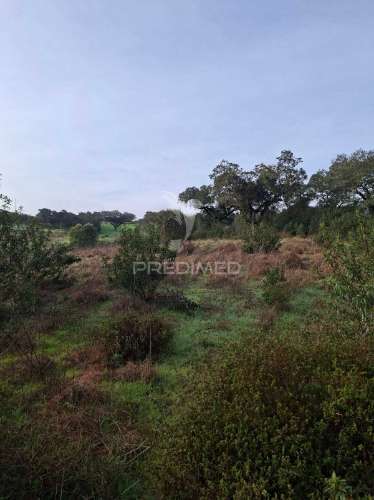 Terreno rústico com 4,1 hectares no rosário - alandroal
