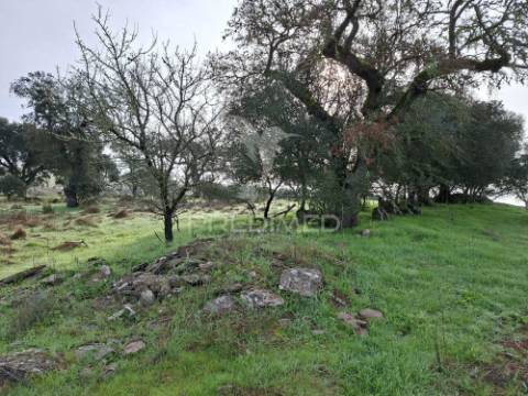 Terreno rústico com 4,1 hectares no rosário - alandroal