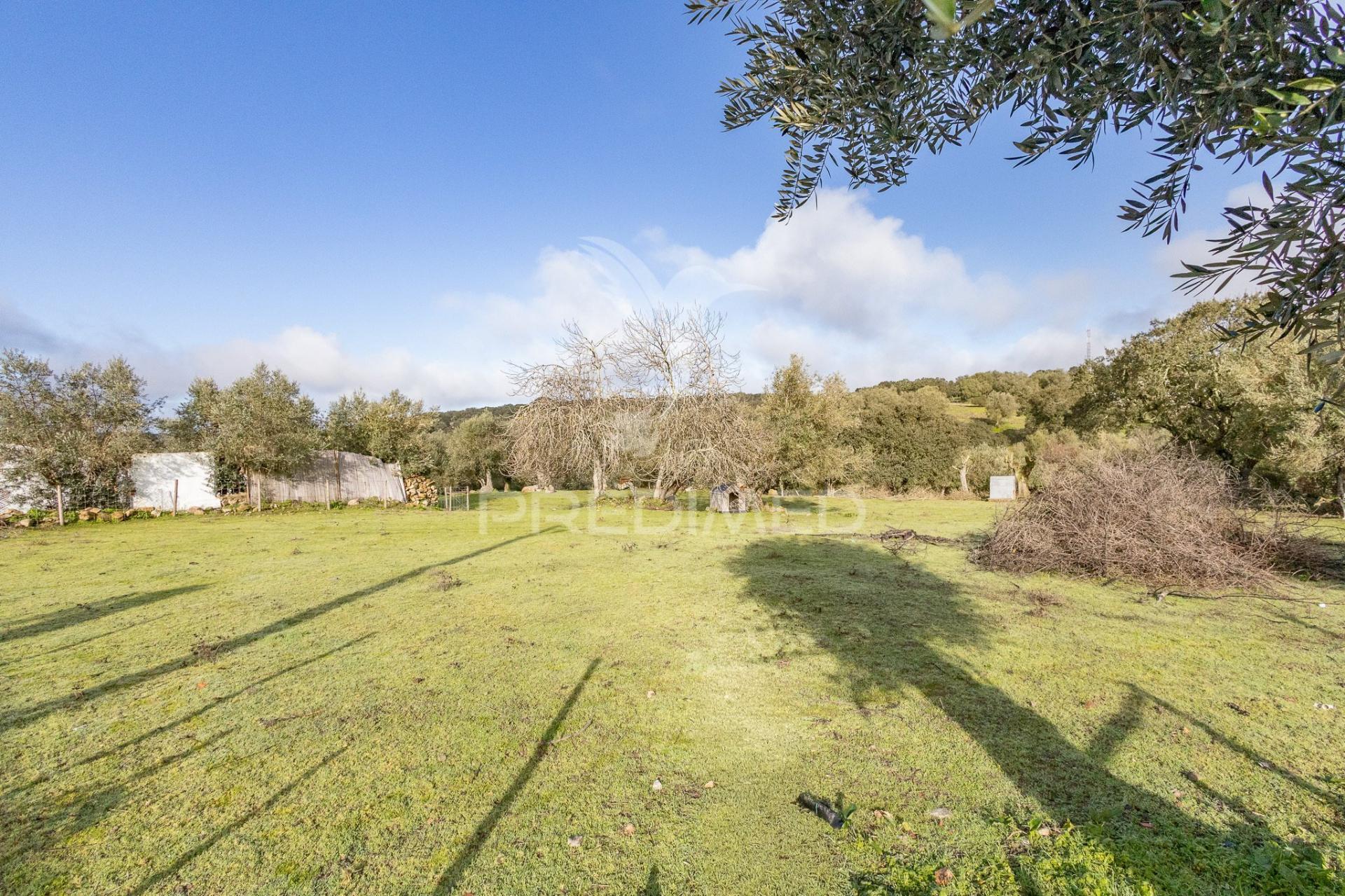 Terreno- arraiolos, são pedro da gafanhoeira