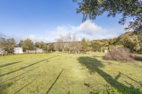 Terreno- arraiolos, são pedro da gafanhoeira