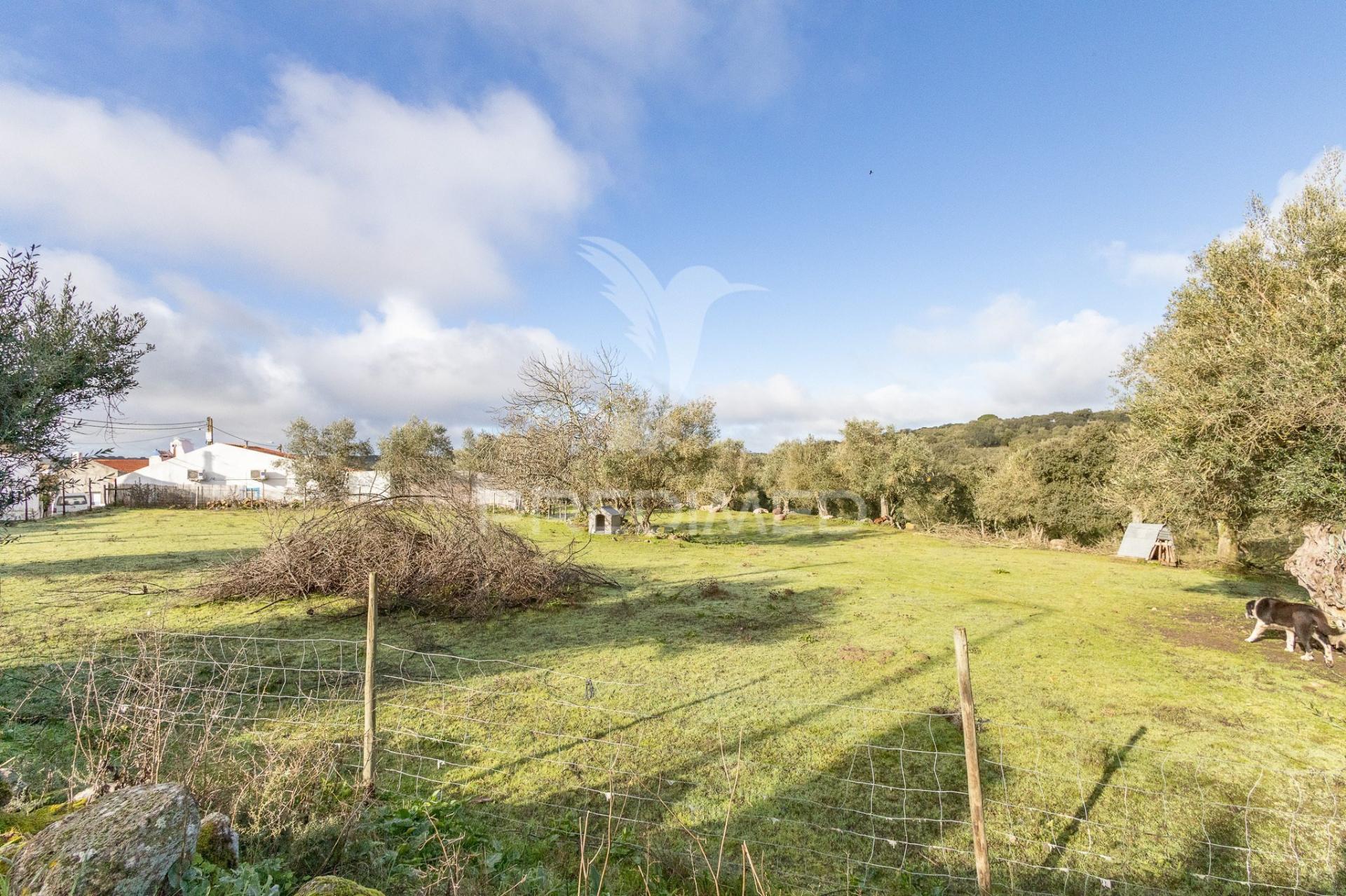 Terreno- arraiolos, são pedro da gafanhoeira