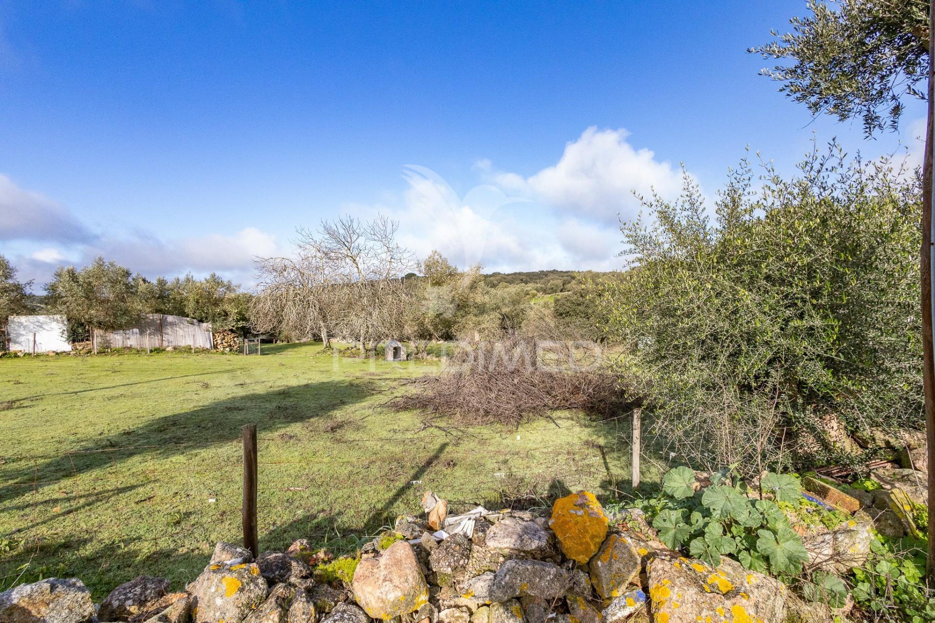 Terreno- arraiolos, são pedro da gafanhoeira