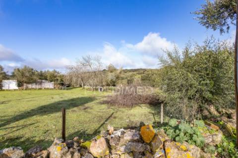 Terreno- arraiolos, são pedro da gafanhoeira