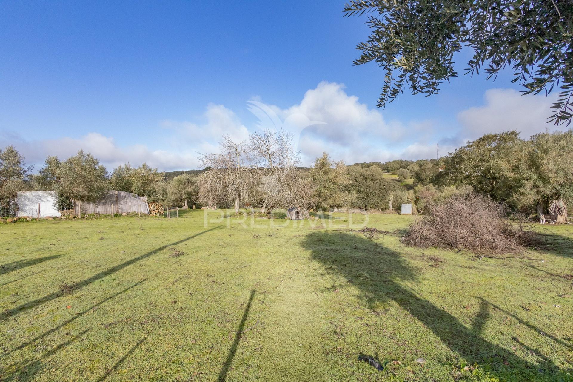 Terreno- arraiolos, são pedro da gafanhoeira