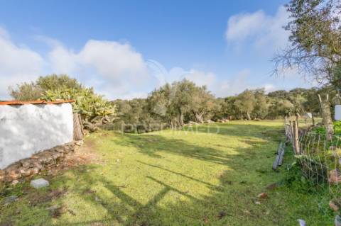 Terreno- arraiolos, são pedro da gafanhoeira