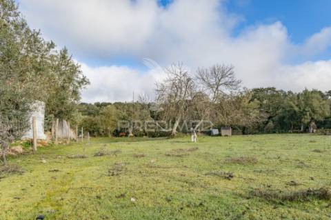 Terreno- arraiolos, são pedro da gafanhoeira