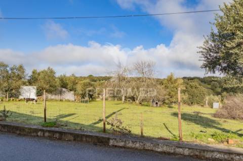 Terreno- arraiolos, são pedro da gafanhoeira