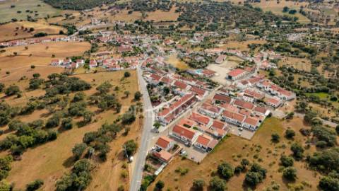 Terreno- arraiolos, são pedro da gafanhoeira