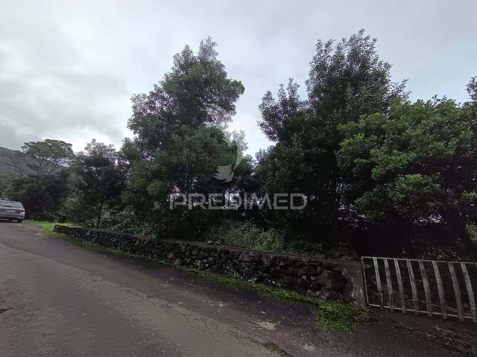 Terreno agrícola, para venda, na prainha, são roque do pico