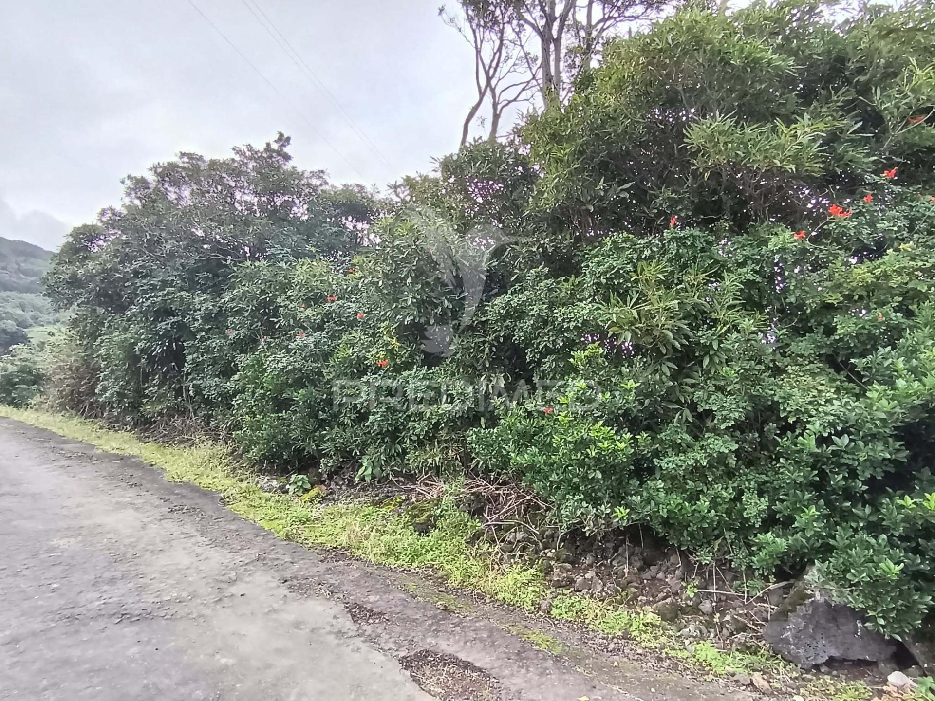 Terreno agrícola, para venda, na prainha, são roque do pico