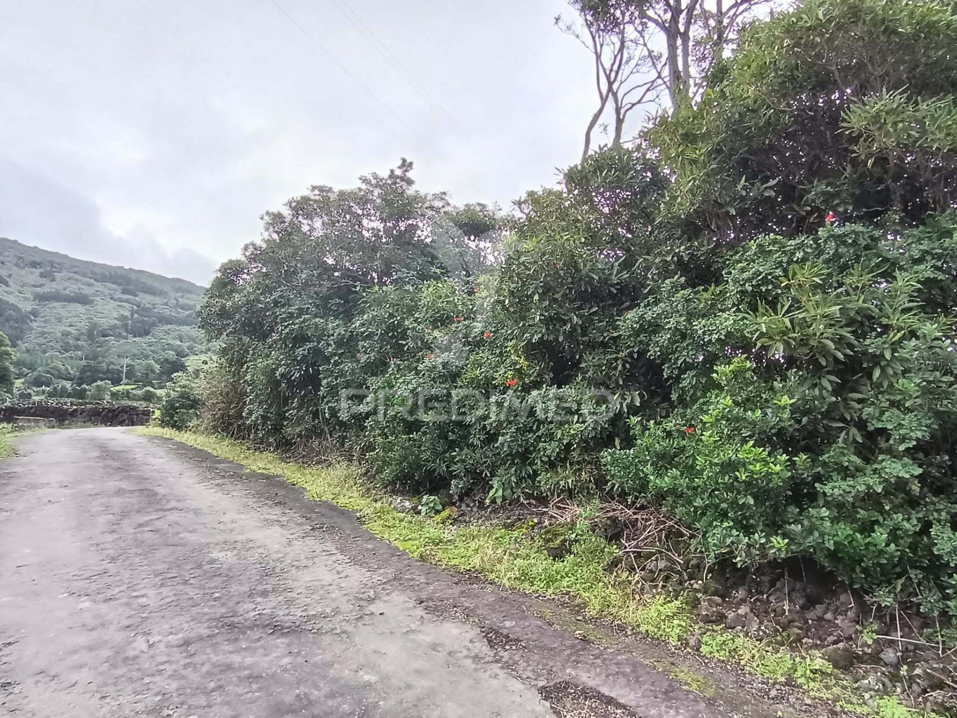 Terreno agrícola, para venda, na prainha, são roque do pico