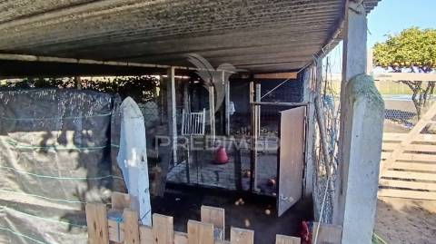 Moradia t3 + 2 com ampla área externa