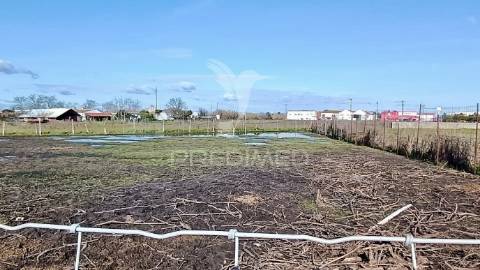 Moradia t3 + 2 com ampla área externa