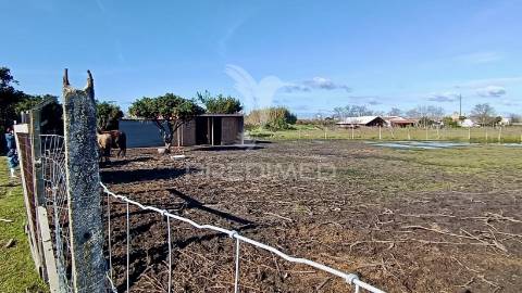 Moradia t3 + 2 com ampla área externa