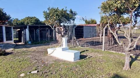 Moradia t3 + 2 com ampla área externa