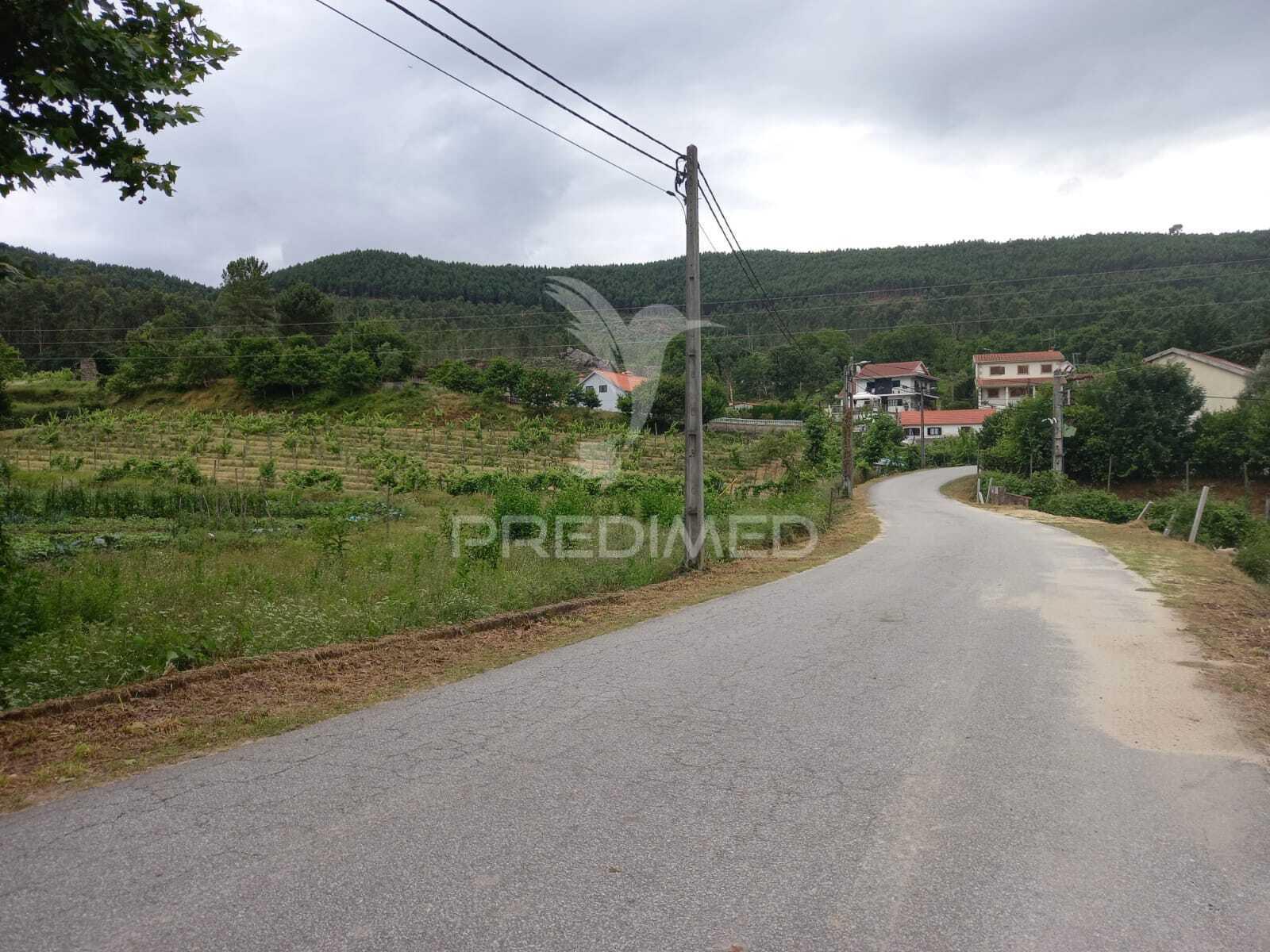 Terreno rústico à venda em mondim de bastos