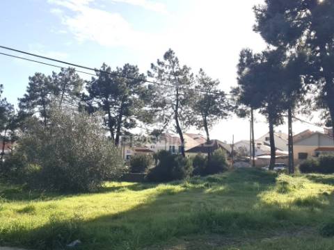 2 lotes terrenos urbanos