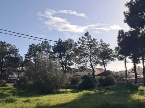 2 lotes terrenos urbanos