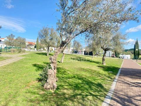 T3 - são joão da talha