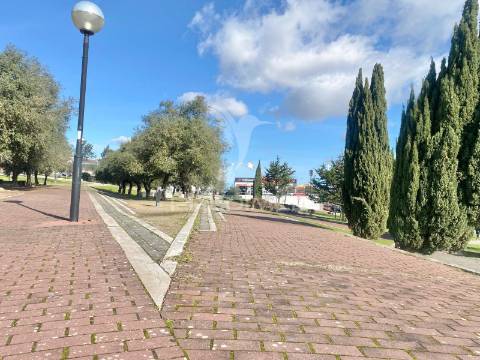 T3 - são joão da talha