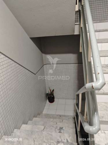 T2+1 no centro da trofa